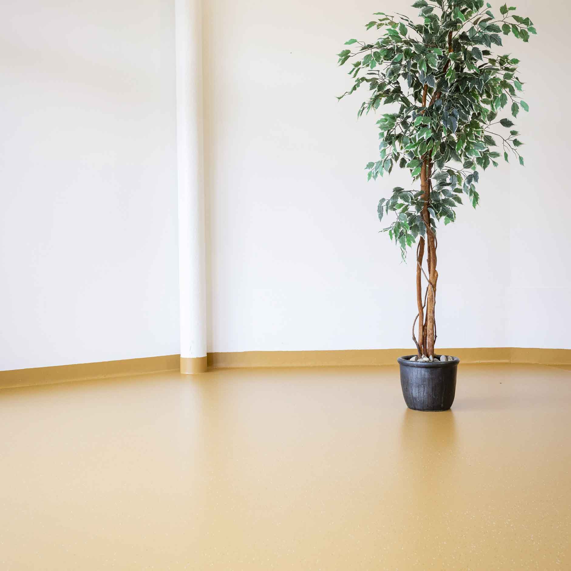 Bild zeigt frisch sanierten farbigen Kunststoffboden im Pflegeheim Altea mit grner Zimmerpflanze.