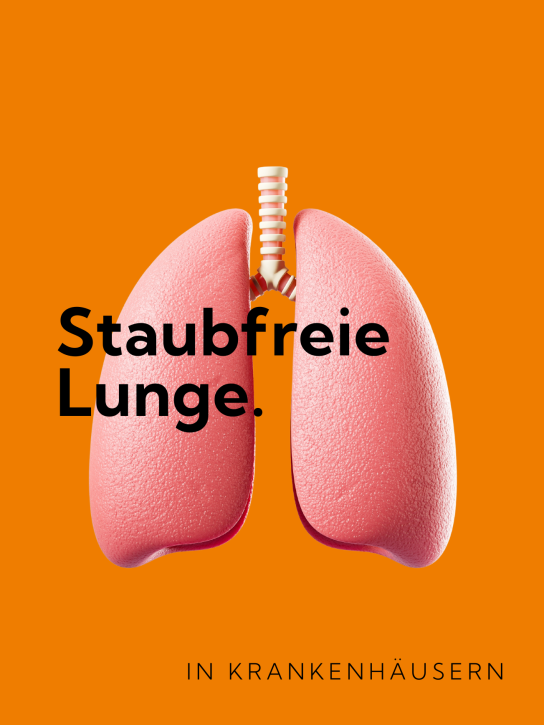 Bild zeigt Grafik mit orangem Hintergrund und Foto von Lungenflügel aus Plastik.